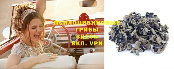 амф Михайловск