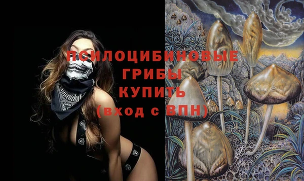 амф Михайловск