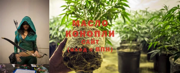 амф Михайловск