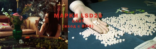 спиды Михайловка