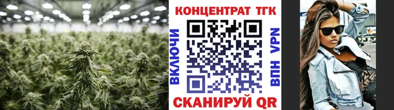 Дистиллят ТГК THC oil  мориарти клад  Новороссийск 