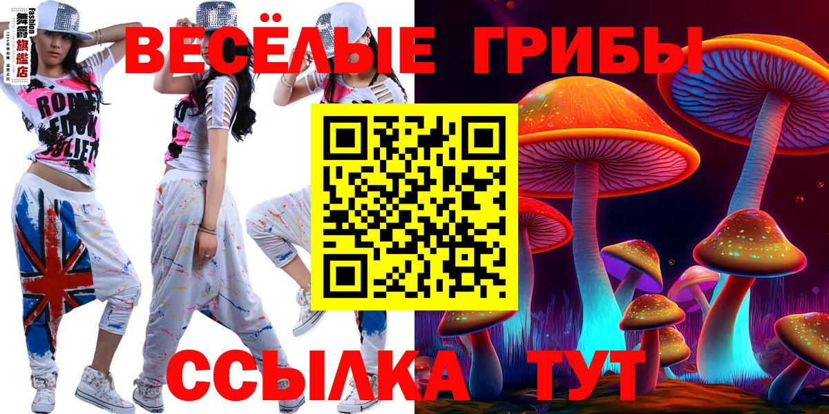 Псилоцибиновые грибы мухоморы Новороссийск