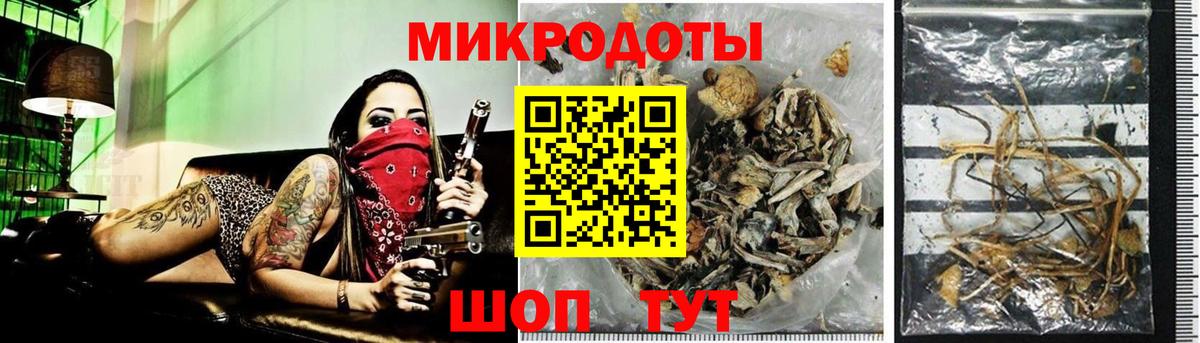 Новороссийск  Галлюциногенные грибы Magic Shrooms  Галлюциногенные грибы мухоморы  Вход с VPN 