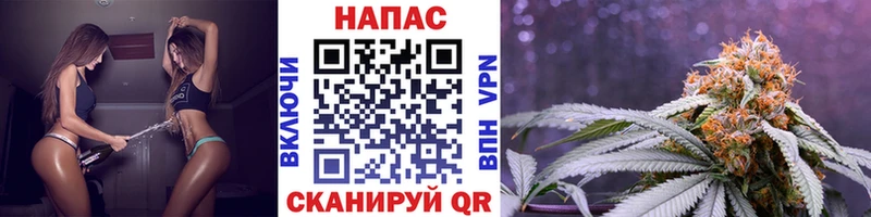 Бошки Шишки ГИДРОПОН  магазин продажи   Новороссийск 