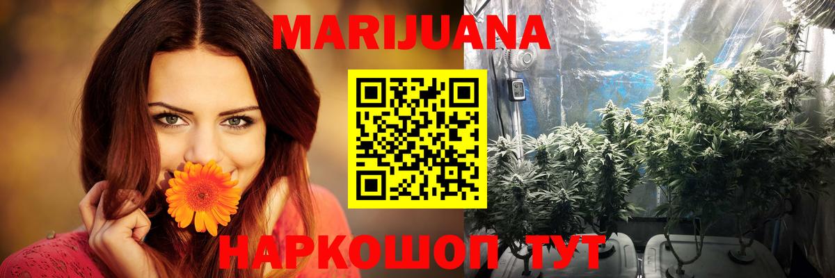 МАРИХУАНА Amnesia  Бошки марихуана тримм  Вход с VPN  Новороссийск  МАРИХУАНА Ganja 